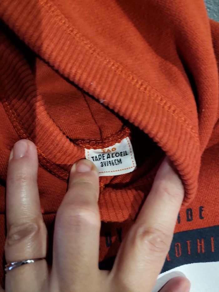 Pull à capuche tao 3 ans - photo numéro 3