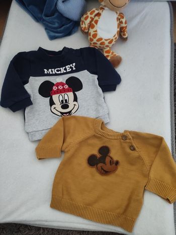 Lot pulls Disney Mickey