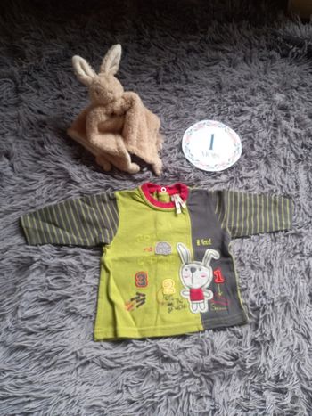 Pull léger/t-shirt manches longues bébé garçon