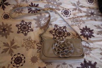 Pochette Gris