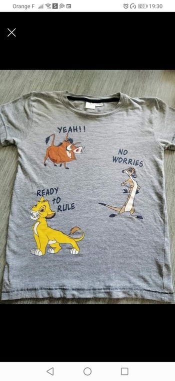 Tee shirt le toi lion