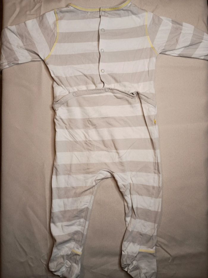 Grenouillère - photo numéro 2