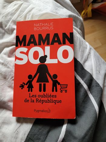 Maman solo les oubliées de la republique Nathalie Bourrud