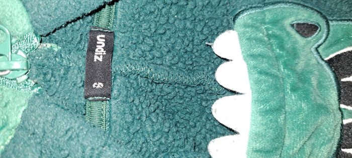 Pilou dinosaure garçon 8 ans - photo numéro 2