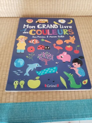 Mon grand livre des couleurs