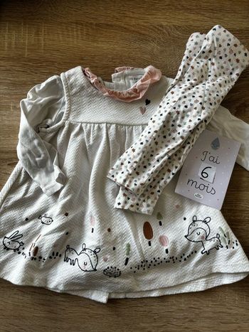 Ensemble biche DPAM t.6m