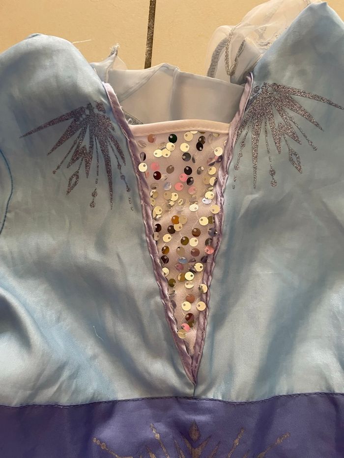 Deguisement disney frozen 2 - photo numéro 2