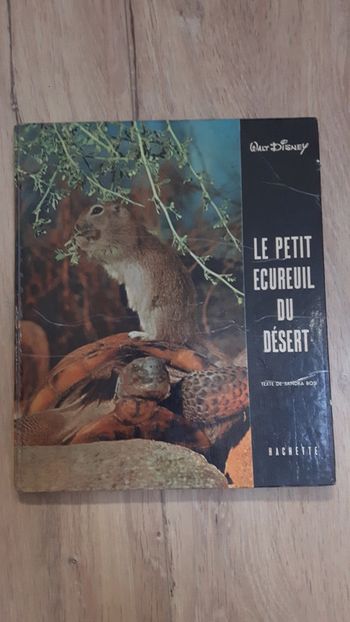 Le petit ecureuil du désert walt disney