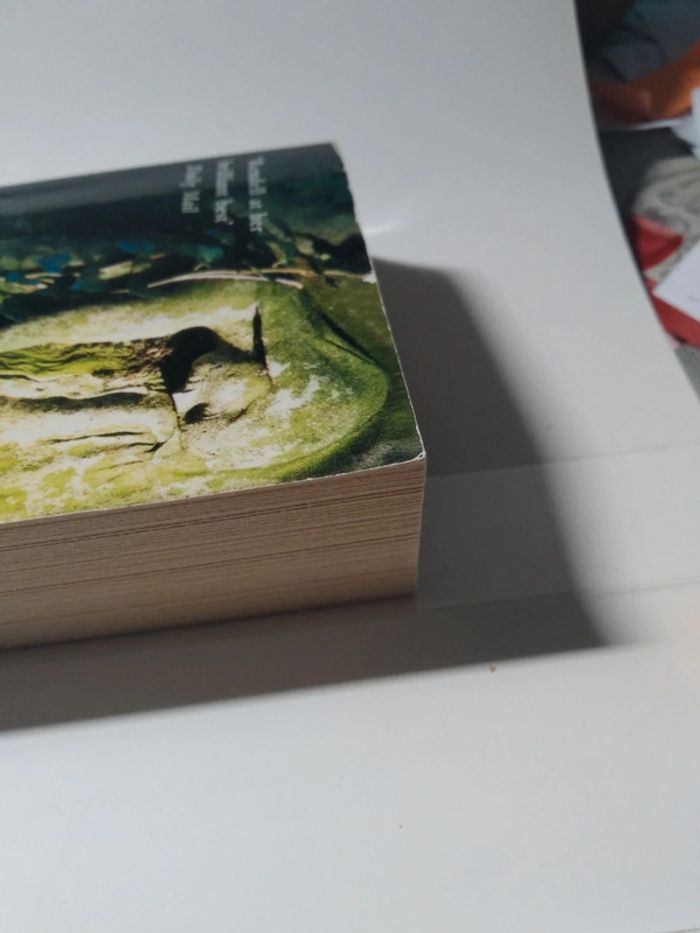 Adam et Ève and pinch me - photo numéro 4