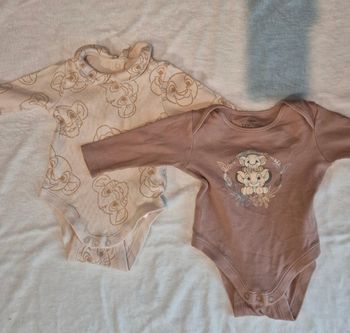 Lot 2 bodies Simba le roi lion