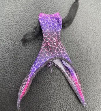 Haut Spectra Picture Day