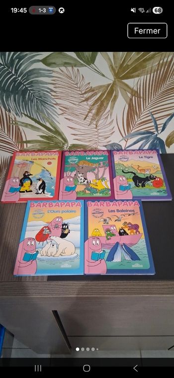 Livres barbapapa 