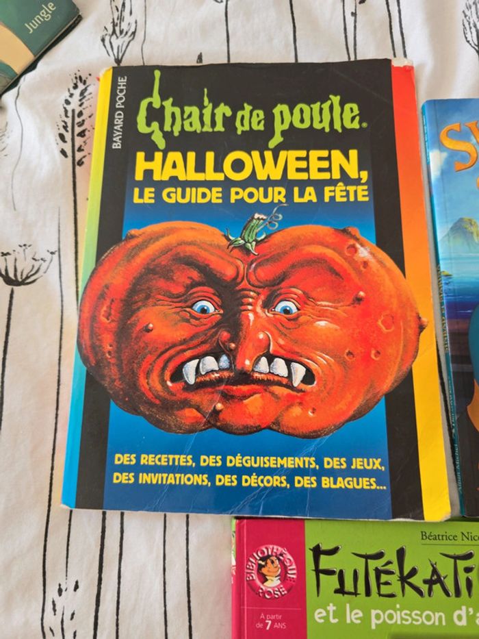 Lot livres - photo numéro 2