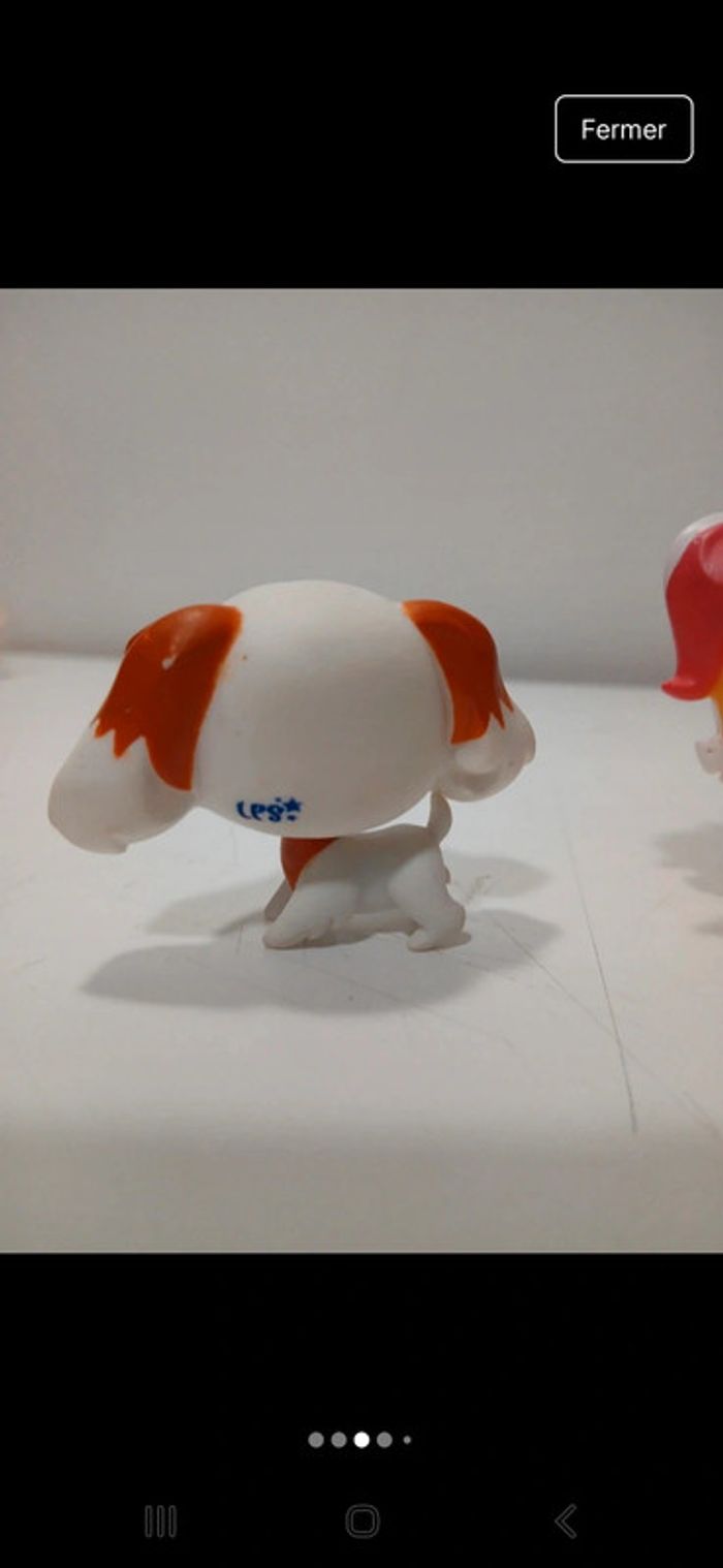 Littlest petshop - photo numéro 15