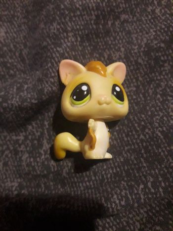 Petshop chauve souris  hasbro