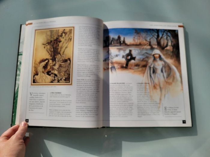 Encyclopédie du Fantastique et de l'Étrange, Tome 1 : Fées et Dragons 🐉 - photo numéro 6