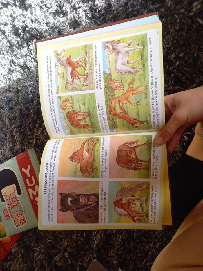 Livre "l'imagerie du poney et du cheval" - photo numéro 2