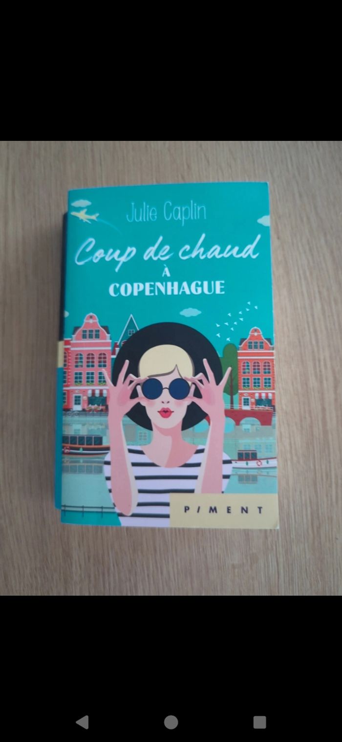 Livre coup de chaud à Copenhague Julie caplin