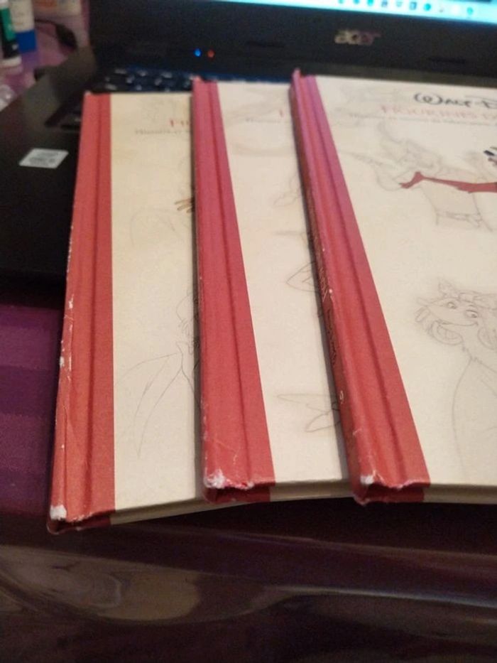 Livre Walt Disney - photo numéro 3