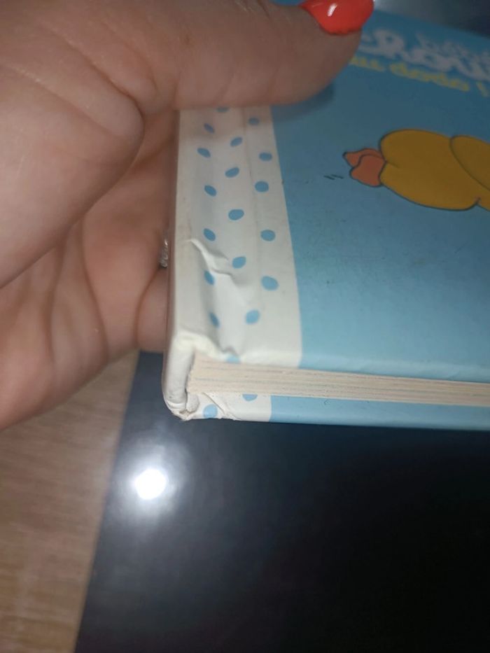 Livre bébé T'choupi au dodo - photo numéro 11