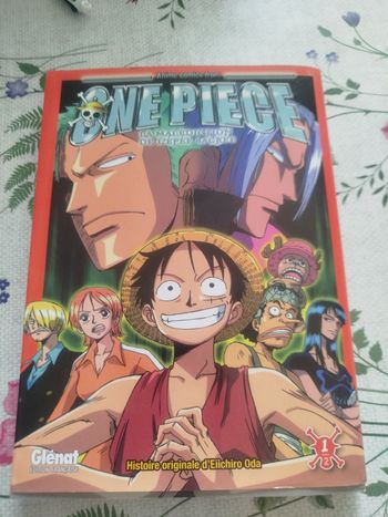 Livre one pièce
