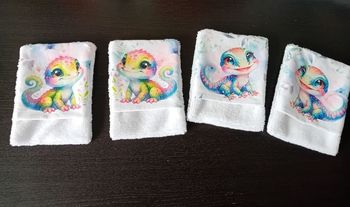 Débarbouillettes