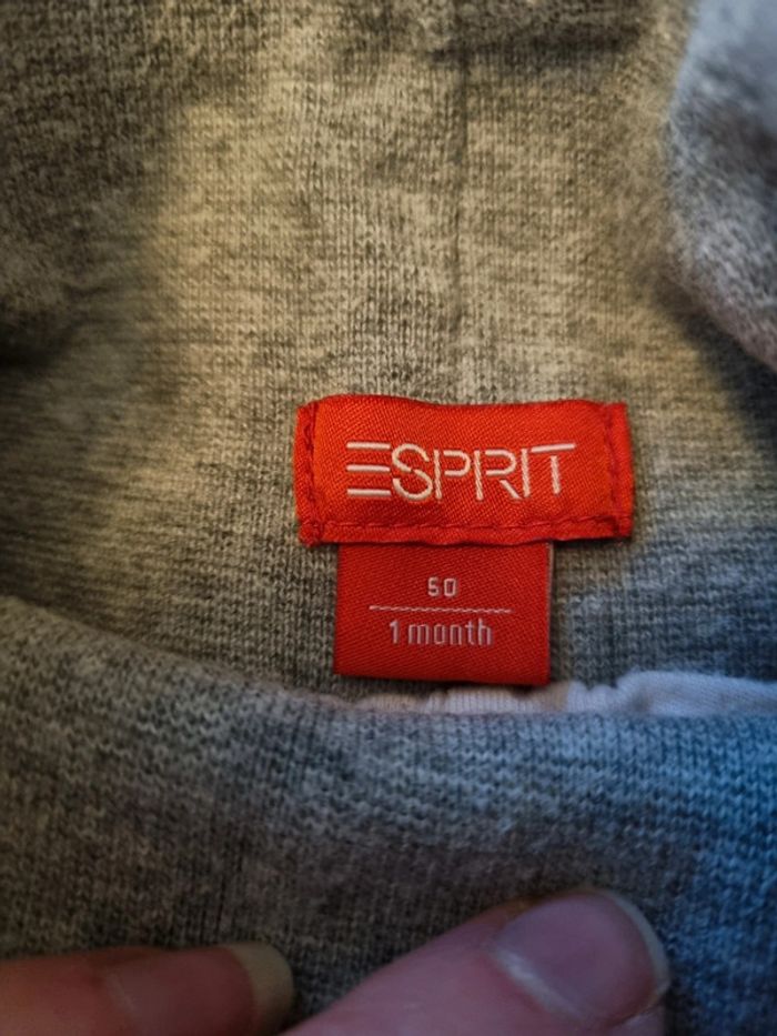 Lot de 2 jeans Esprit - photo numéro 2