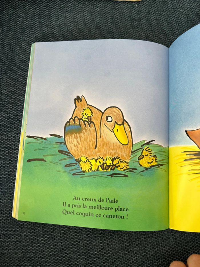 Livre - photo numéro 3