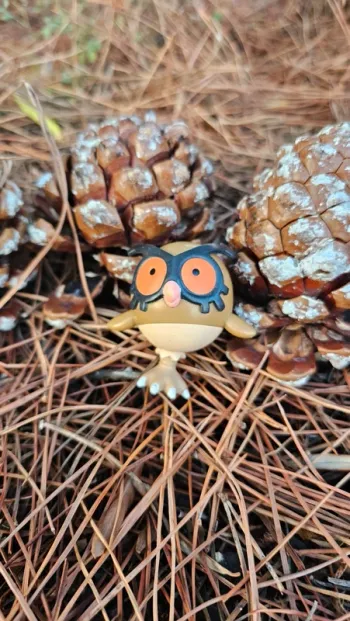 Super figurine Pokemon Nintendo hoothoot