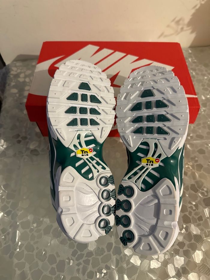 Tn nike Lacoste - photo numéro 6