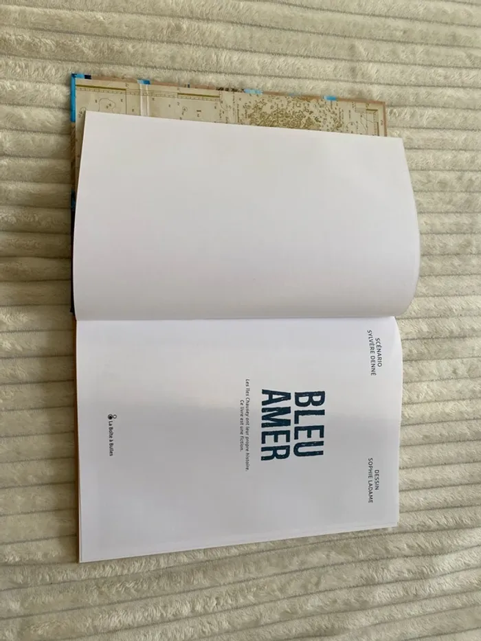 Bleu Amer - photo numéro 3