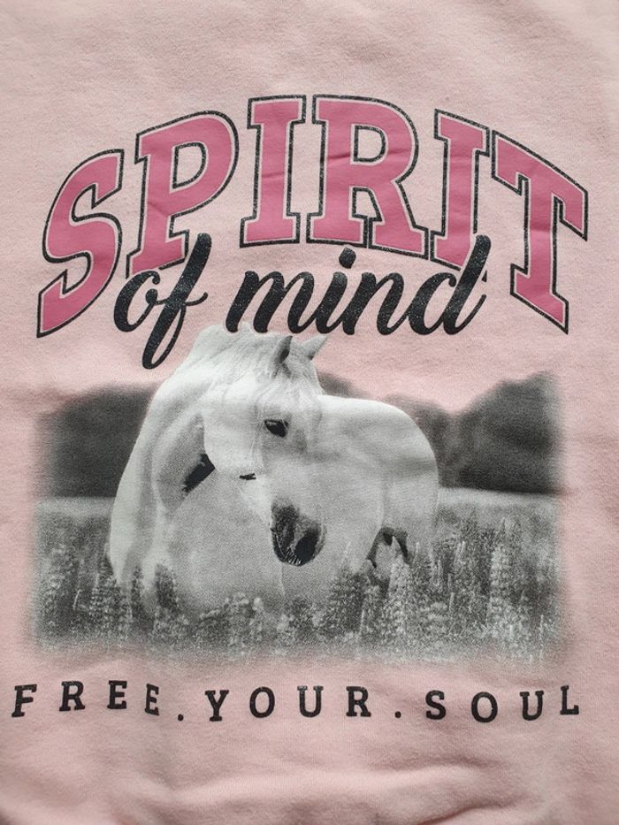 Pull C&A - photo numéro 2