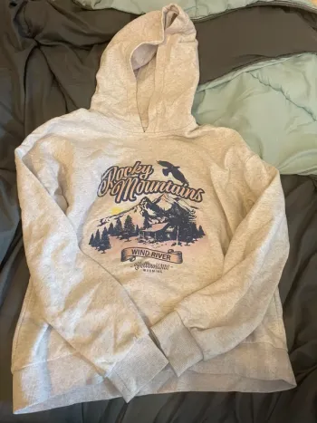 Lot 2 pull à capuche