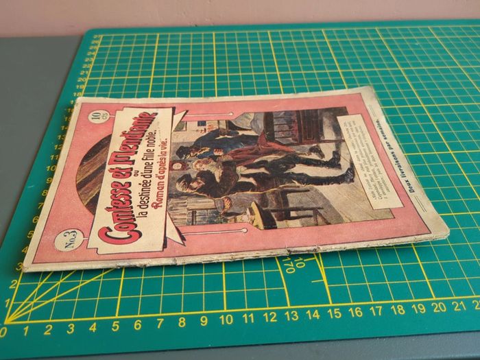 Comtesse et mendiante la destinée roman - photo numéro 3