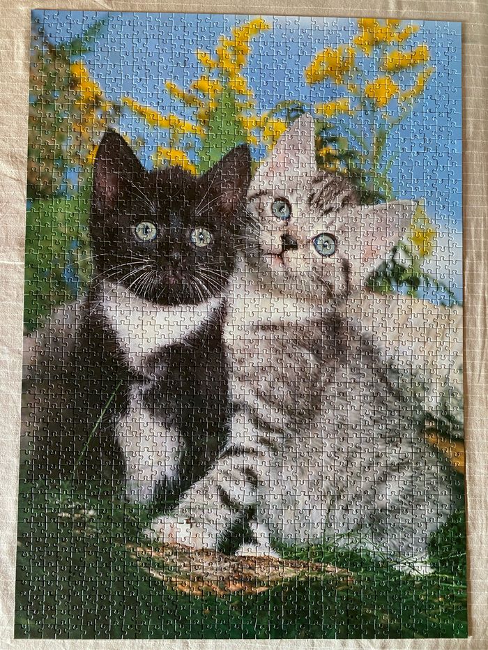 Puzzle 1500 pièces complet - photo numéro 2