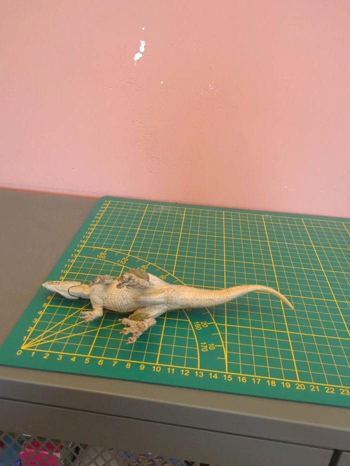 Figurine Papo Ceratosaurus - photo numéro 3