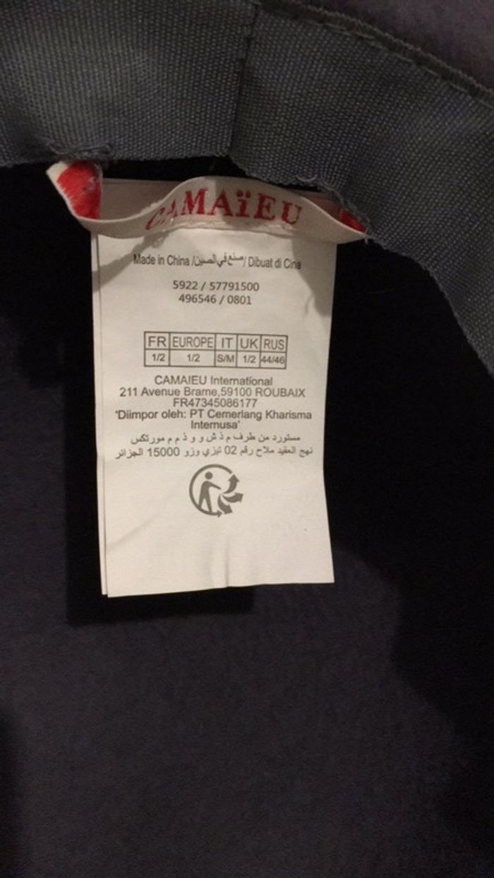 Capeline grise - photo numéro 3