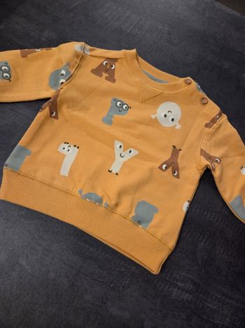 Pull lettre