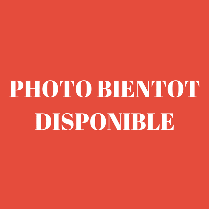 Elever un garçon Steve Biddulph, Dominique Brotot (Traduction)