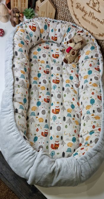 Babynest  ou réducteur de lit 0/6mois