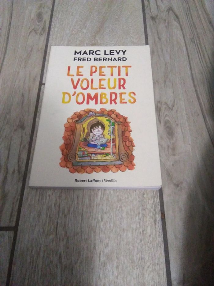 Roman Le petit voleur d'ombre