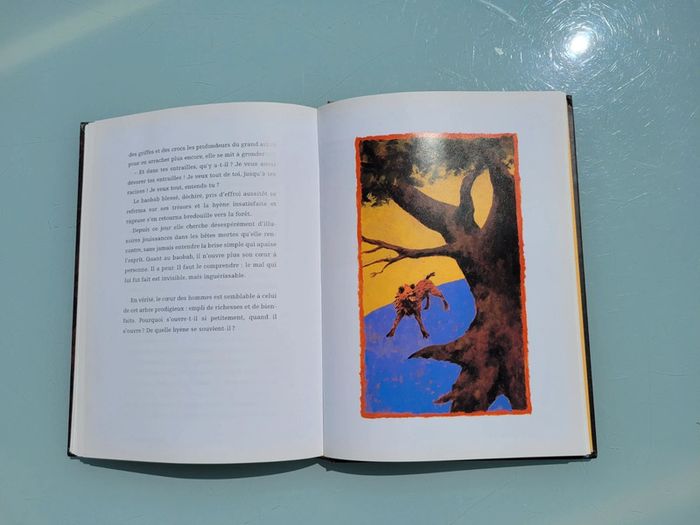 Éditions Seuil : Contes d'Afrique, Henri Gougaud - photo numéro 9