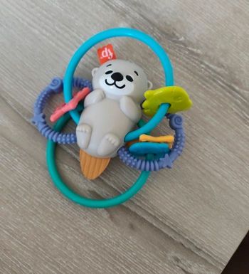 Loutre Anneau de Dentition 