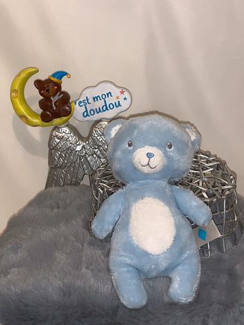 TEX66 doudou ours 🐻 tex