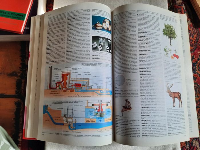 Le petit larousse illustré, 100ème édition, 2005 - photo numéro 4