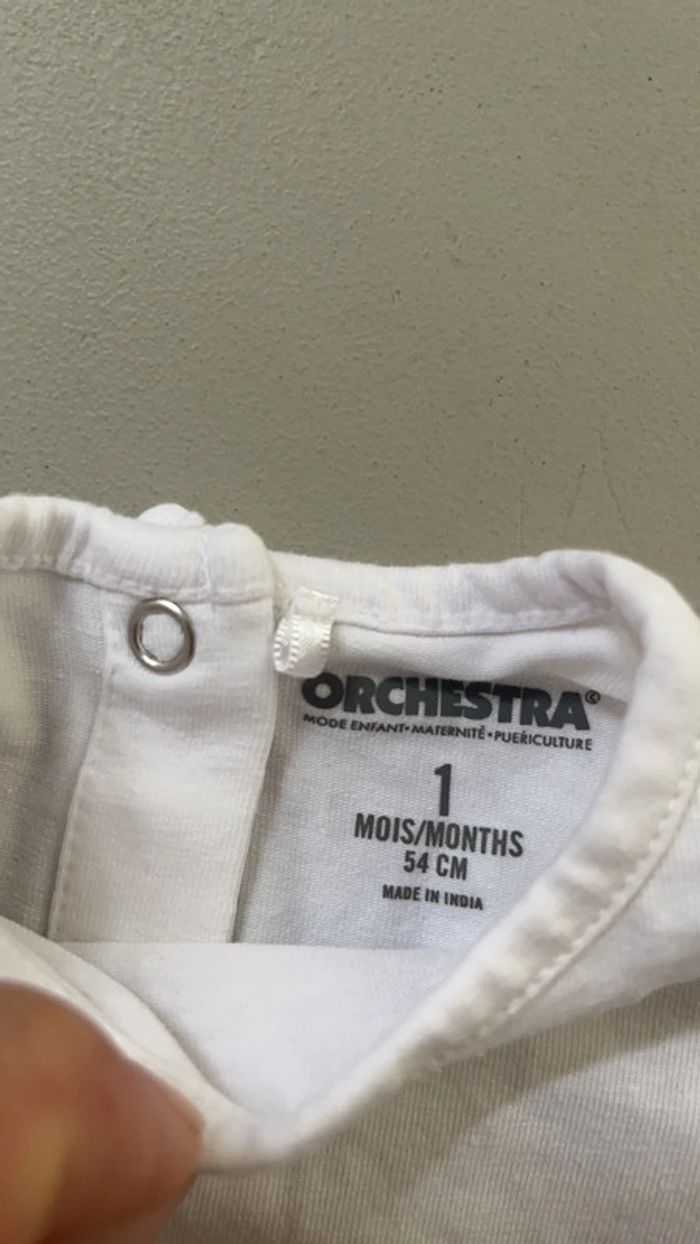 Tee shirt - photo numéro 2