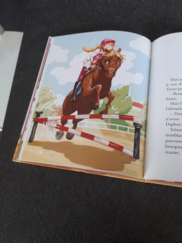 Livre aventures au poney-club, triche au concours - photo numéro 4