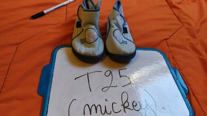 chausson taille 25