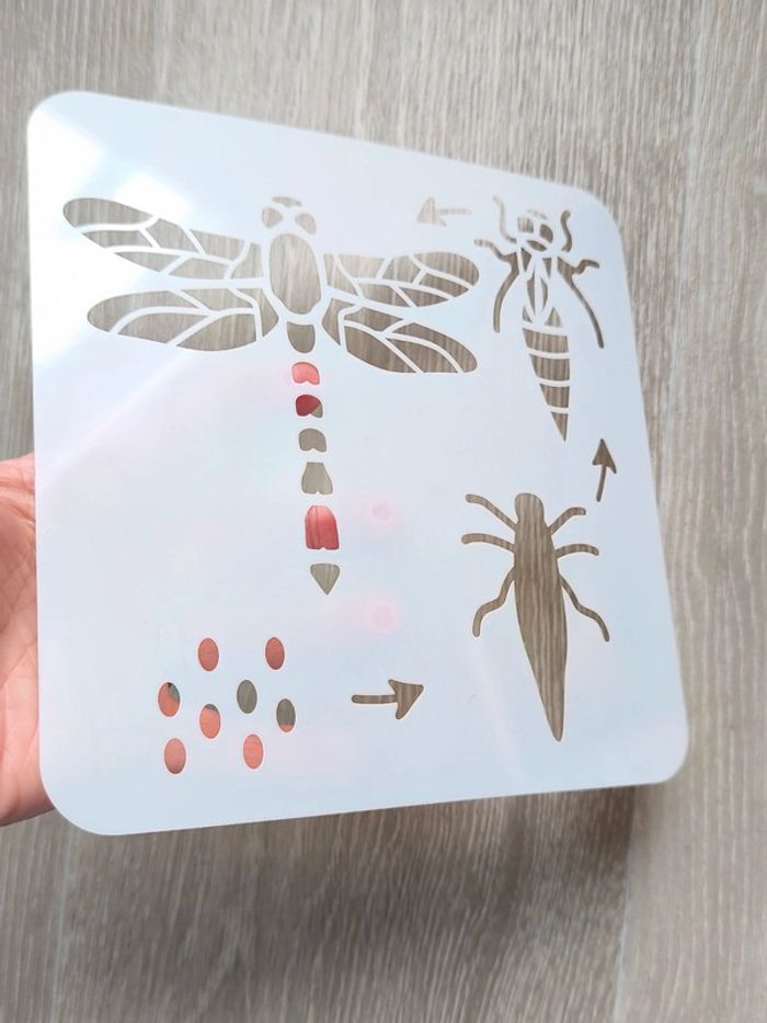 Pochoir du cycle de vie de la libellule - photo numéro 3