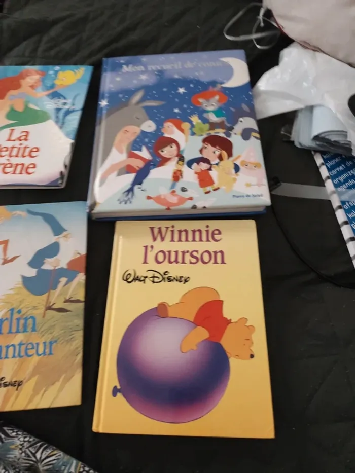 4 super livres disney - photo numéro 3